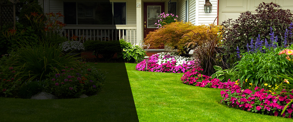 Pacific Grove Landscapers