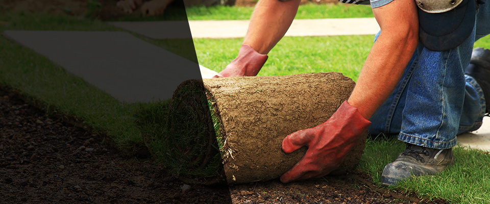Pacific Grove Landscapers